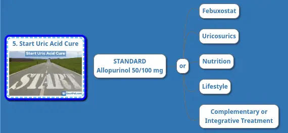 5. Start Uric Acid Cure